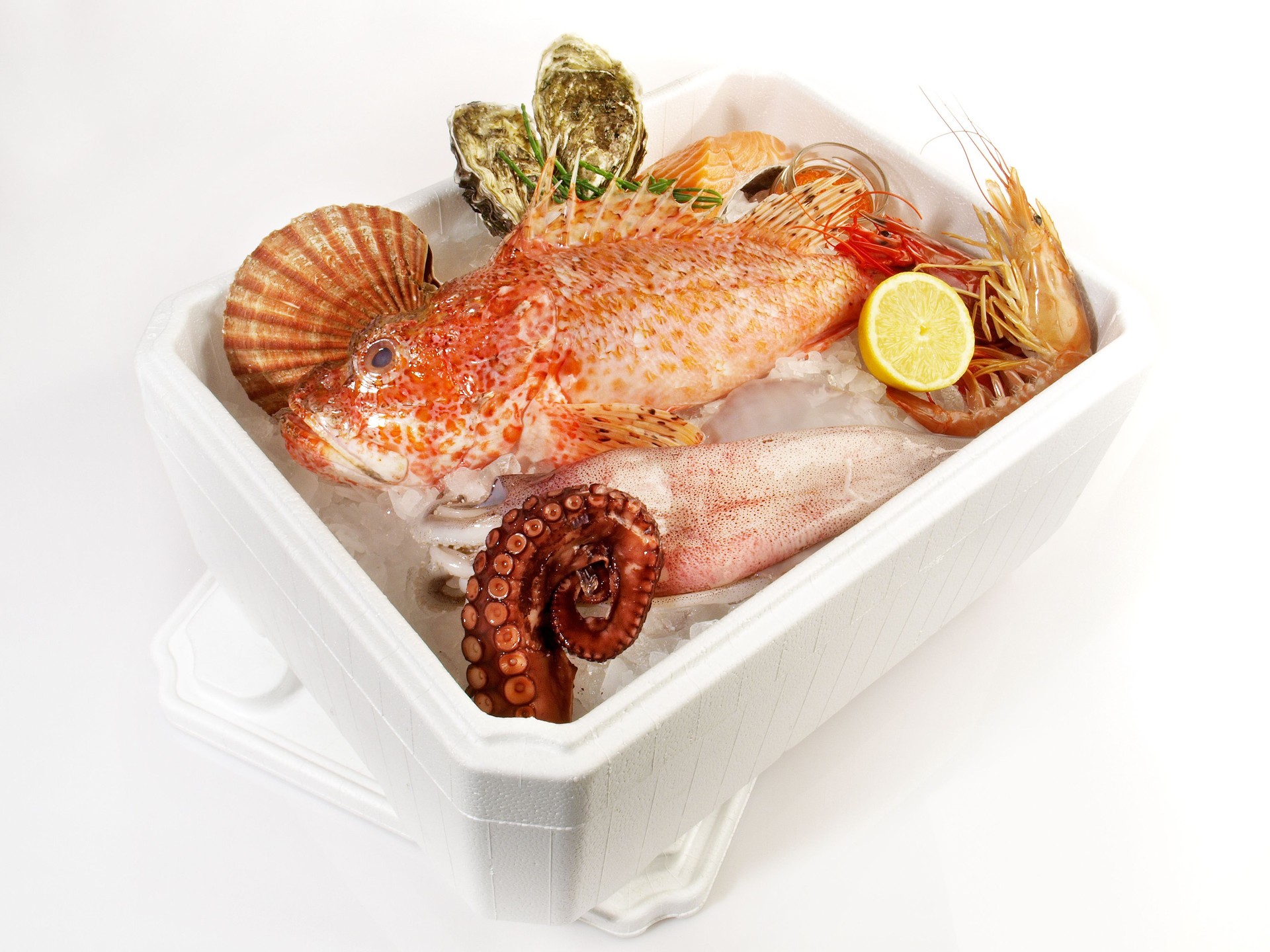 Transportation Box with Fish, Sea Food on Ice isolated on white Background - Isolated